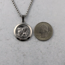 Load image into Gallery viewer, Silver Griffin Pendant Chain Necklace
